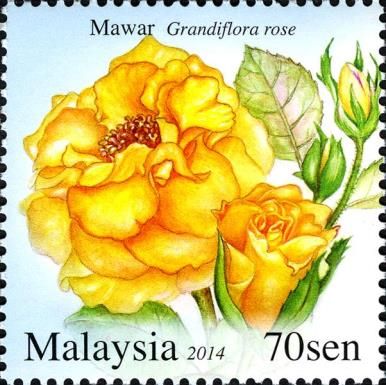 Grandiflora rose