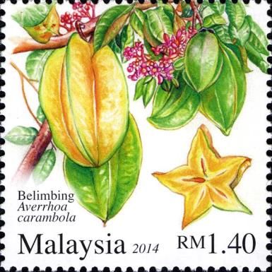 Averrhoa carambola