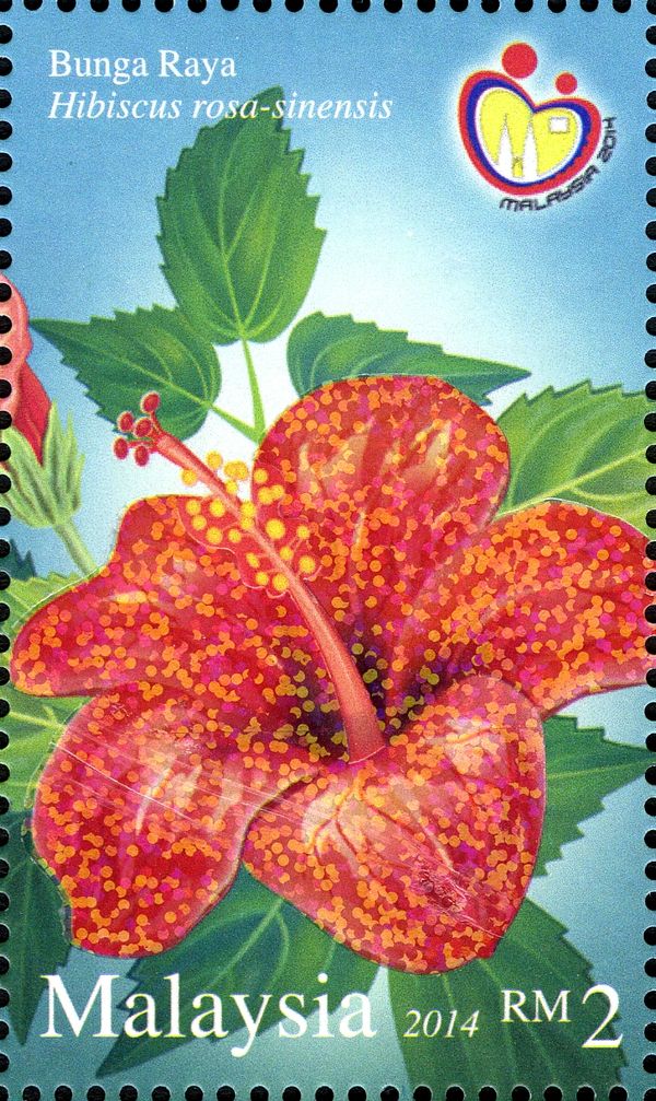Hibiscus