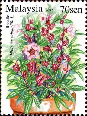 Roselle (Hibiscus sabdariffa L.)