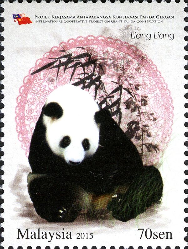 Giant Panda (Ailuropoda melanoleuca)