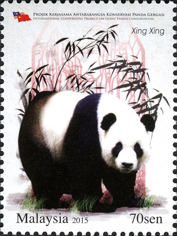 Giant Panda (Ailuropoda melanoleuca)