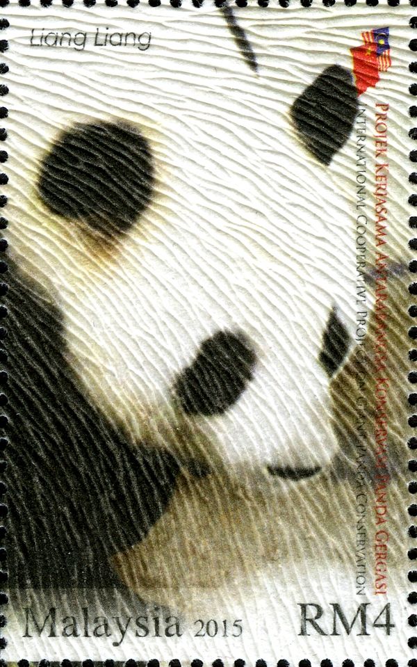 Giant Panda (Ailuropoda melanoleuca)