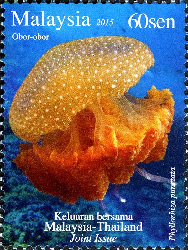 White-spotted Jellyfish (Phyllorhiza punctata)