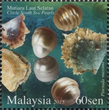 Circle South Sea Pearls (Pinctada maxima)