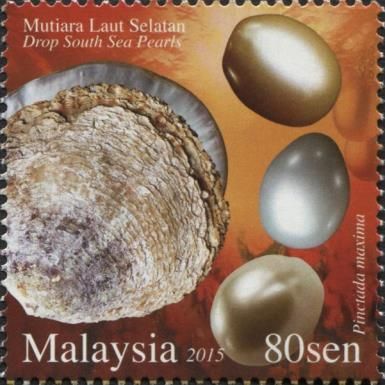 Drop South Sea Pearls (Pinctada maxima)