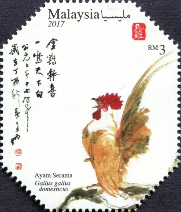 Ayam Serama