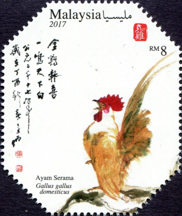 Ayam Serama