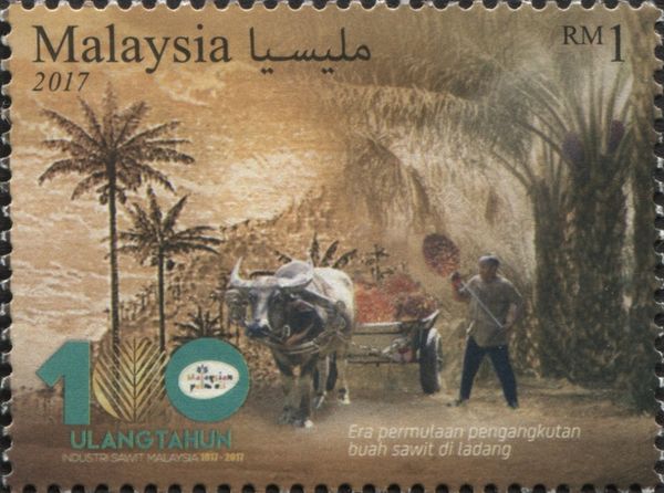 Oil palm transportation in farm