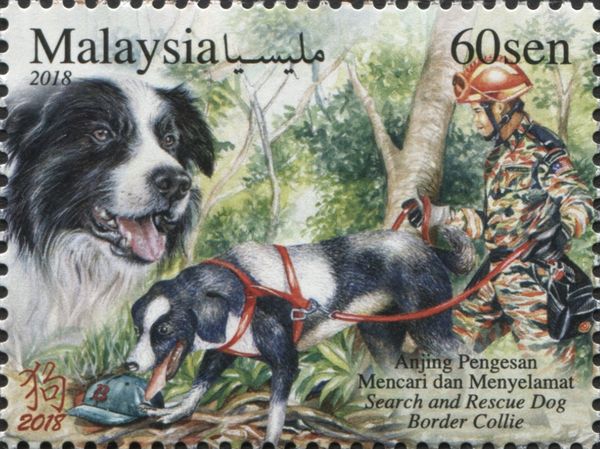 Year of The Dog 2018 - Service Dogs