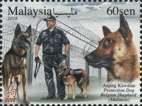 Year of The Dog 2018 - Service Dogs