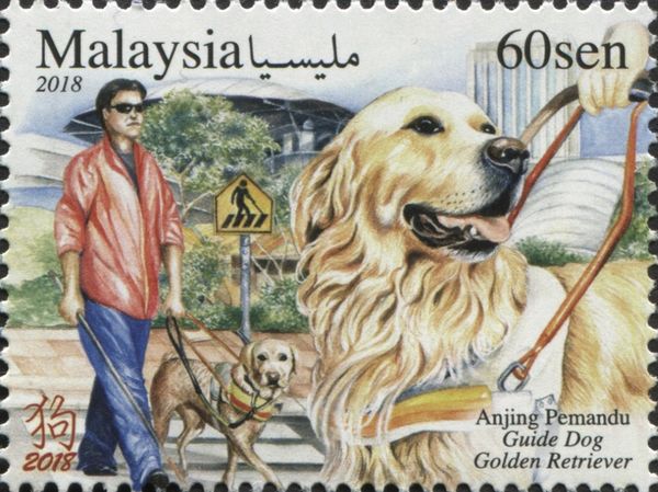 Year of The Dog 2018 - Service Dogs