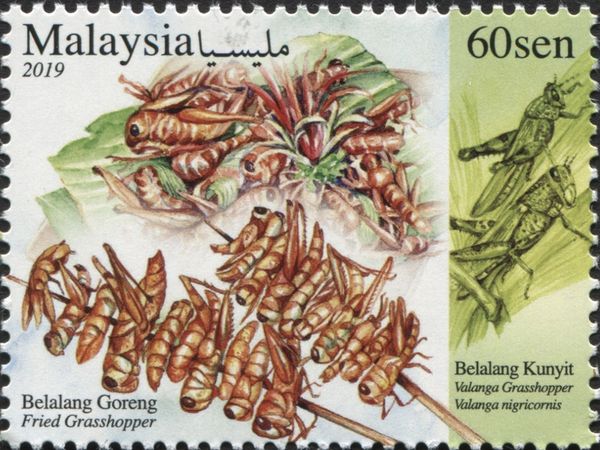 Fried Grasshoppers