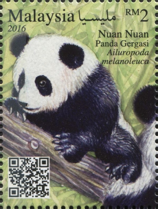 Giant Panda (Ailuropoda melanoleuca)