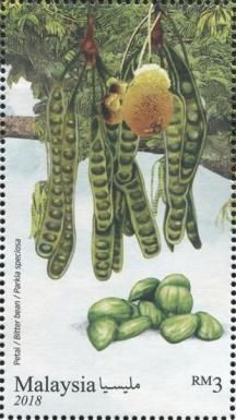 Parkia speciosa