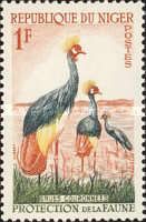 Grey Crowned Crane (Balearica regulorum)
