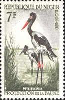 Saddle-billed Stork (Ephippiorhynchus senegalensis)