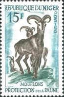 Barbary Sheep (Ammotragus lervia)