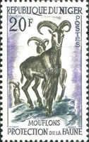 Barbary Sheep (Ammotragus lervia)