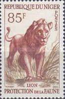 Lion (Panthera leo)