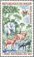 African Fauna