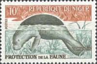 African Manatee (Trichechus manatus senegalensis)