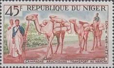 Peanut-Transport to Market by Dromedaries (Camelus dromedari