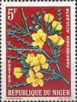 Parkinsonia aculeata