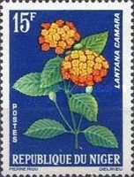 Lantana camara