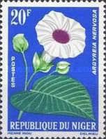 Argyreia nervosa
