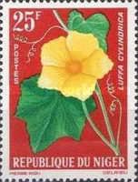 Luffa Cylindrica