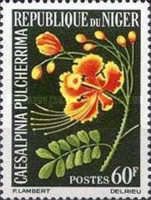 Caesalpinia pulcherrima