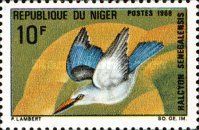 Woodland Kingfisher (Halcyon senegalensis)