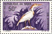 Cattle Egret (Bubulcus ibis)