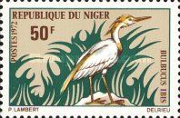 Cattle Egret (Bubulcus ibis)
