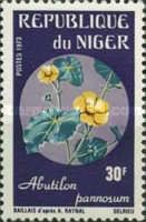 Abutilon pannosum
