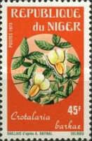 Crotalaria barkae