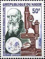 Dr. Hansen