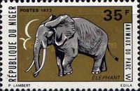 African Elephant (Loxodonta africana)