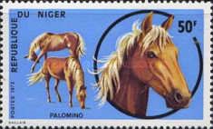 Palomino