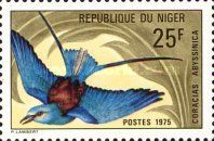 Abyssinian Roller (Coracias abyssinica)