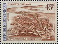 Animal Skeletons