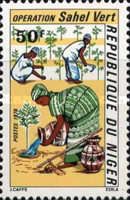 Woman watering seedling