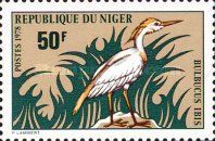 Cattle Egret (Bubulcus ibis)
