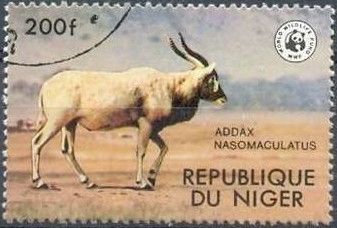 Addax (Addax nasomaculatus)