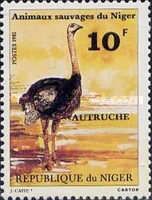 Ostrich (Struthio camelus)