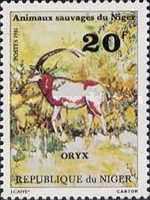 Scimitar Oryx (Oryx dammah)