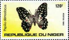 Citrus Swallowtail (Papilio demodocus)