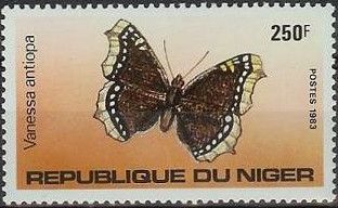 Mourning Cloak (Vanessa antiopa)