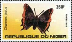 Two-tailed Pasha (Charaxes jasius)
